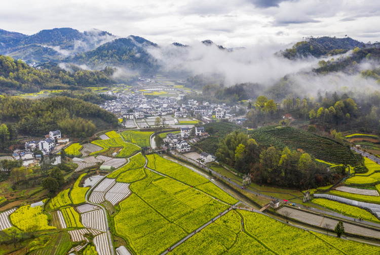 黃山市徽州區：“走出去+引進來”打響“養生潛口”品牌_fororder_圖片22