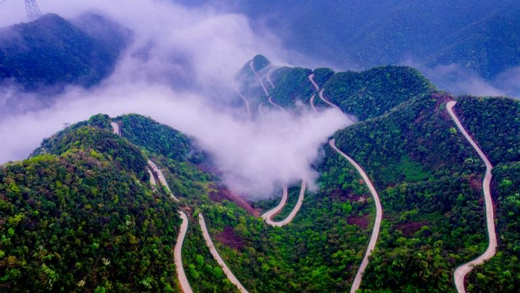 萬千氣象看中國 | 大黃山文旅産業璀璨崛起 激活地域文化新活力_fororder_圖片19