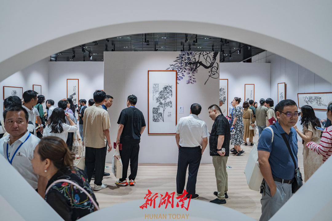 湘人苏高宇，向家乡做一次“成长汇报”——湘籍画家苏高宇作品展开幕仪式暨研讨会侧记_fororder_4