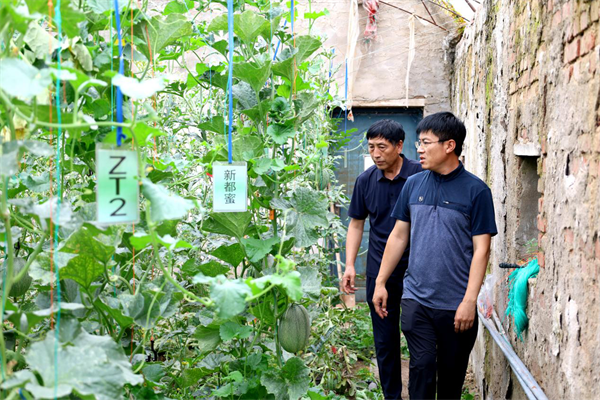 延吉：滿園飄香結碩果 水果種植項目見成效_fororder_吉林水果1