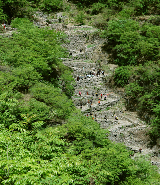 浮梁茶杯2024環中國自駕遊集結賽-萬里茶道山西陵川站發車_fororder_image012