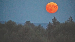  Drunken Longjiang │ The aurora red moon makes Mohe shine