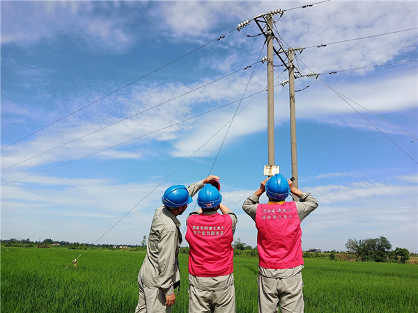 國網仙桃市供電公司：特巡測溫強運維 入伏保電不鬆懈_fororder_圖片12