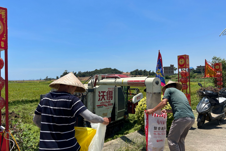 泉州净峰镇：与台风“竞速” 助农抢收稻谷_fororder_微信图片_20240724104355