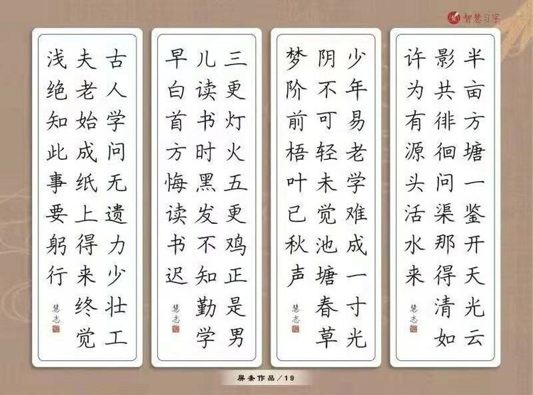 王慧志：从写字开始抓素质教育_fororder_2