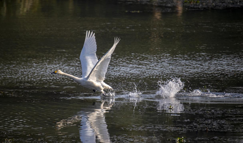数字中国，“浙”里探路