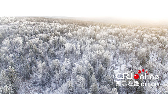 04【吉林】【供稿】吉林延邊仙峰國際森林公園出現高山霧凇景觀