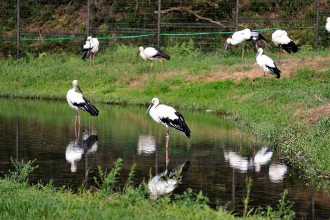 图片默认标题_fororder_47