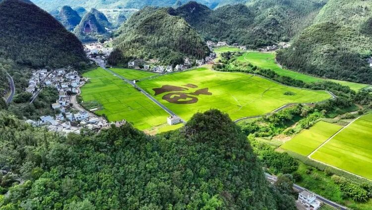 貴州山地丨“飛”進萬峰林，獨享夏日“鬆弛感”