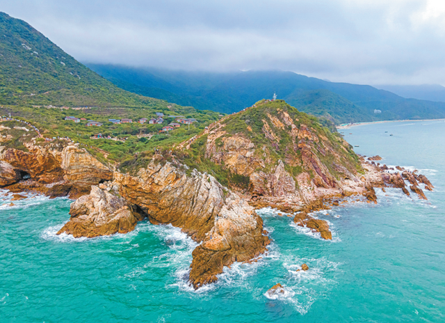 来深圳奔赴山海遇见“大龟”