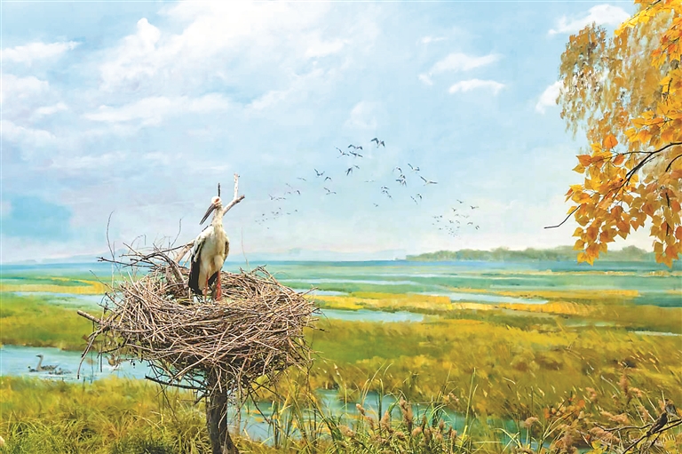 醉龙江│挠力河湿地生态之美