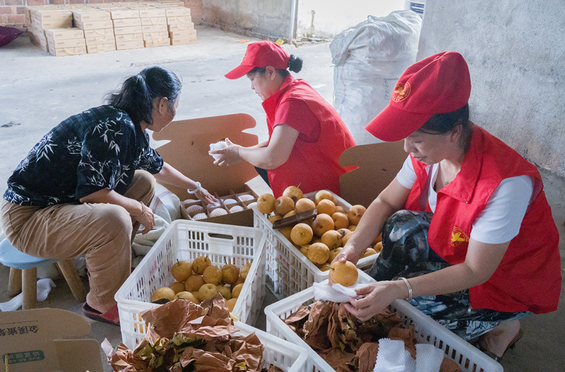 江西金溪：盛夏果园“助农热”_fororder_图片18