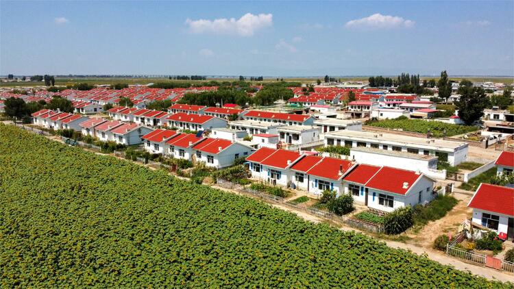 （组图）鄂尔多斯展旦召：党建引领产业旺 乡村振兴展新姿_fororder_2