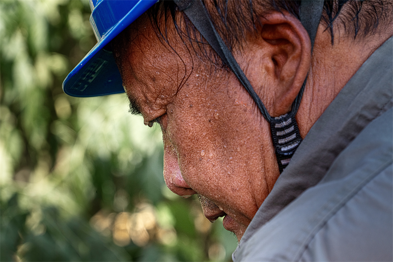 國網天門市供電公司：在40℃的高溫天下 連續搶修7小時保供電（圖集）_fororder_圖片5