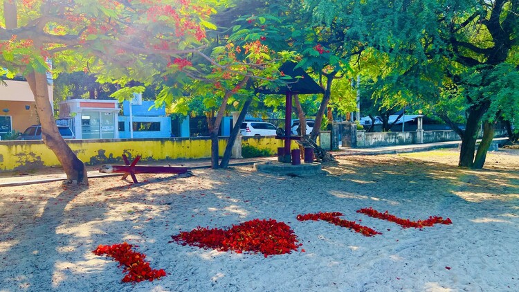 直通使领馆 | 东帝汶总统首次访华！看两国关系发展的三大亮点