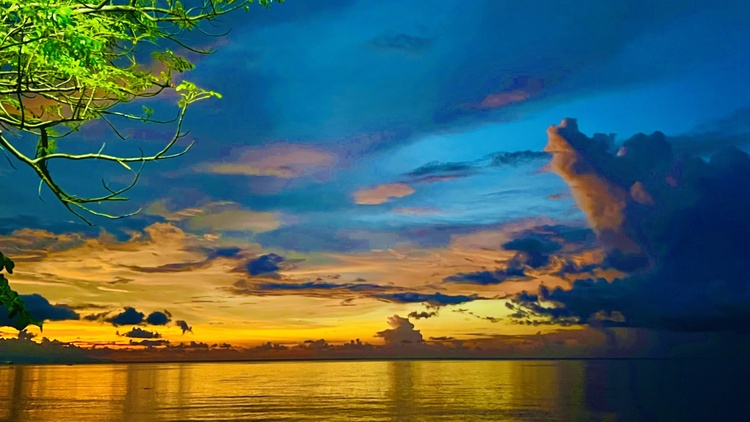 直通使领馆 | 东帝汶总统首次访华！看两国关系发展的三大亮点