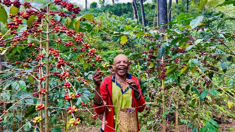 直通使领馆 | 东帝汶总统首次访华！看两国关系发展的三大亮点