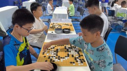 天津市津南区第四届社区运动会暨2024年第二届青少年围棋锦标赛落幕