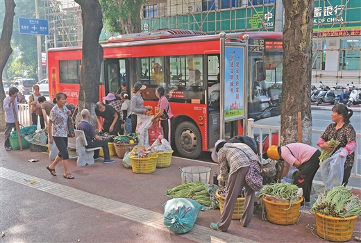 “箩筐专线”串联乡村振兴路