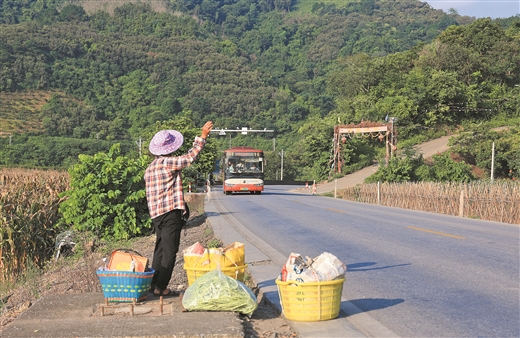 “箩筐专线”串联乡村振兴路