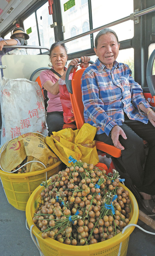 “箩筐专线”串联乡村振兴路