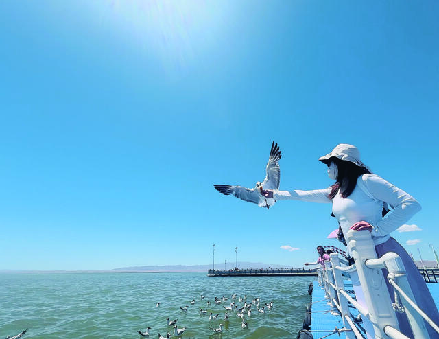 可魯克湖：碧水青山鳥兒歡歌