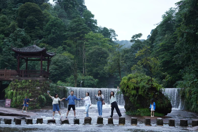 Glowing Fireflies Illuminate the Scenery: Multilingual Influencers Embark on a Journey to the Enchanting Tian Tai Mountains