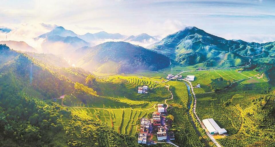 漳州：推动生态保护和林业产业协同发展_fororder_0c4315c3-73d7-4f21-ad41-36acba9cc545