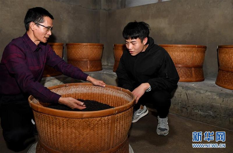 福建武夷山：科技特派员助推乡村振兴