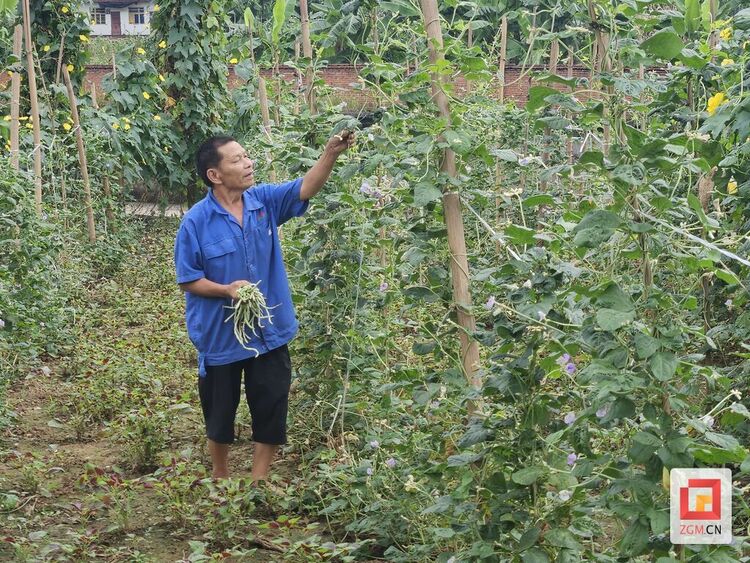 （转载）自贡贡井区创新推动互助养老