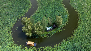 江苏兴化：荷香浮动诗意浓