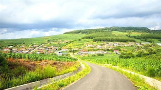  Antu, Jilin: The "small incision" of courtyard planting promotes the "big harvest" of waist bags