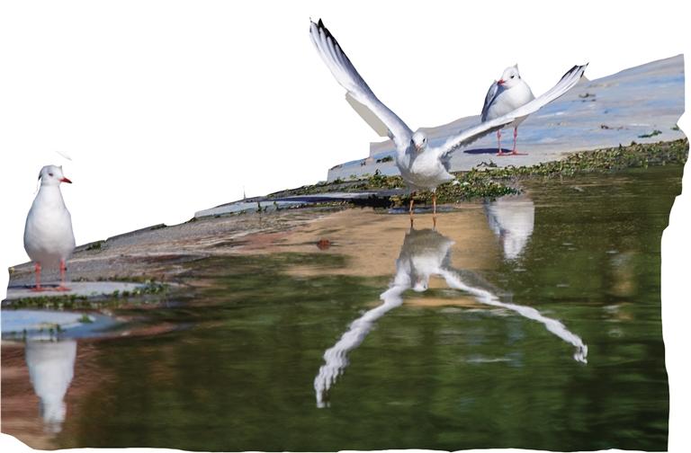 呼和浩特：碧水蓝天绿绕城_fororder_1