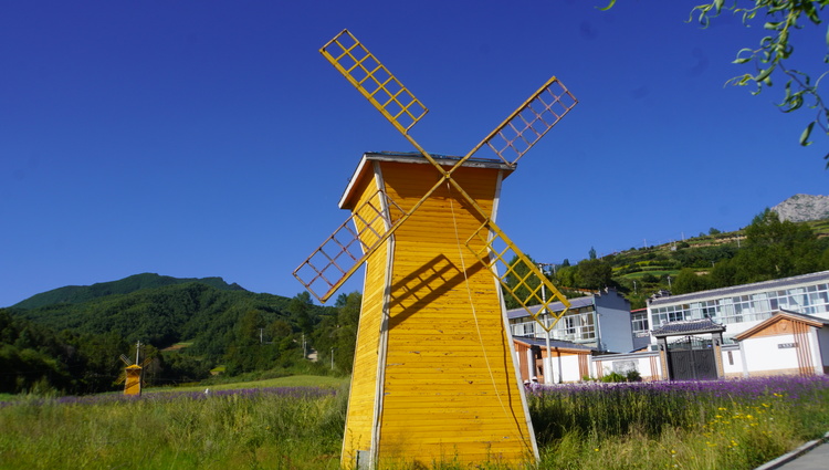 【原创】我们的家园 幸福美好新甘肃 | 甘肃甘南临潭县庙花山村：昔日“丑小鸭” 变身“白天鹅”_fororder_2e440a97109968ffe28b6c59efb1941