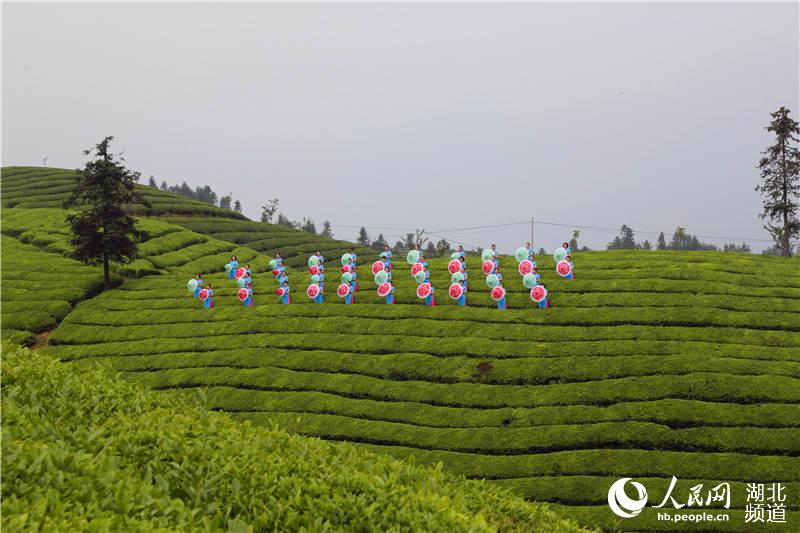 湖北鹤峰：茶旅融合助推“百亿茶产业”发展