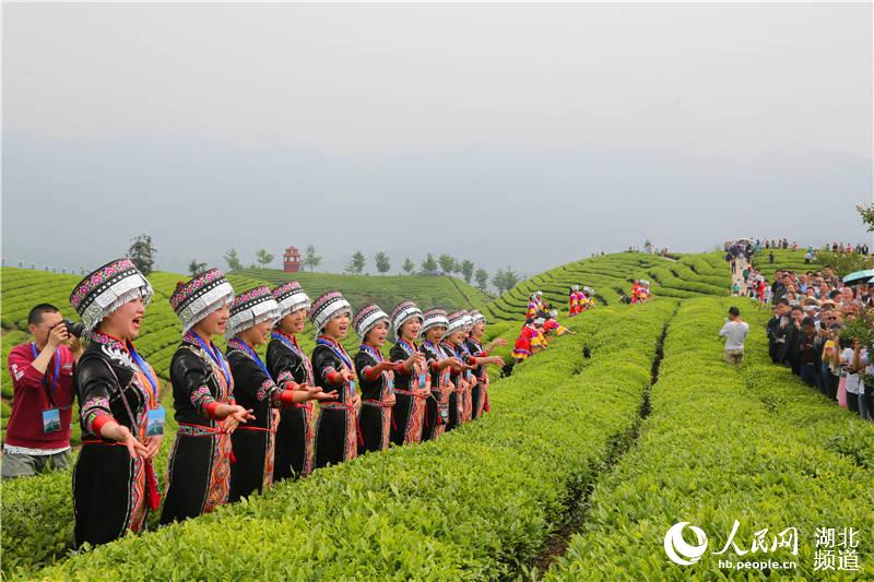 湖北鶴峰：茶旅融合助推“百億茶産業”發展