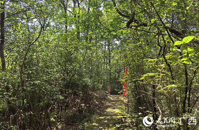 广西：寻访猫儿山老山界 传承红军长征精神