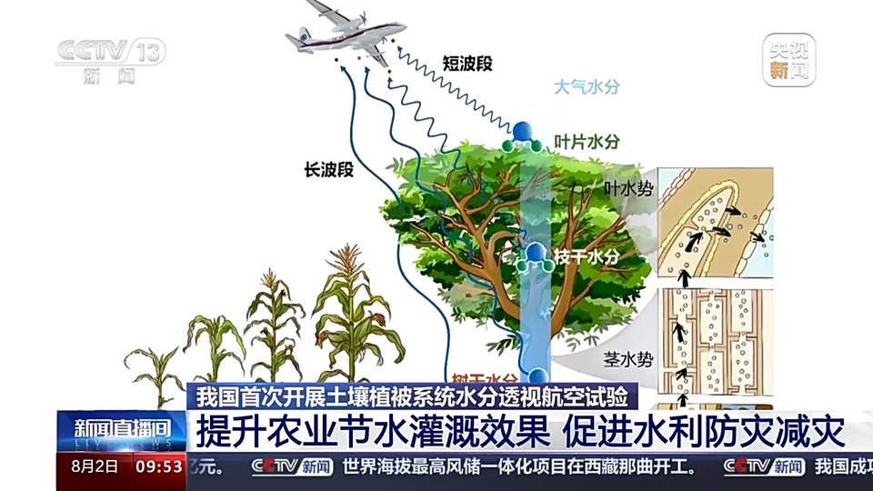 植被土壤内部含水量怎么测？我国首次开展这个试验→