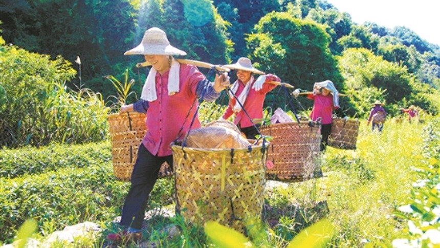 雁南飛：梅縣踐行“兩山”理論的積極探索