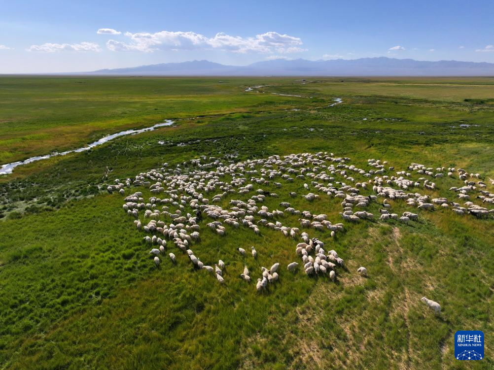 【大美甘肃】甘肃酒泉阿克塞：生机勃勃苏干湖_fororder_4