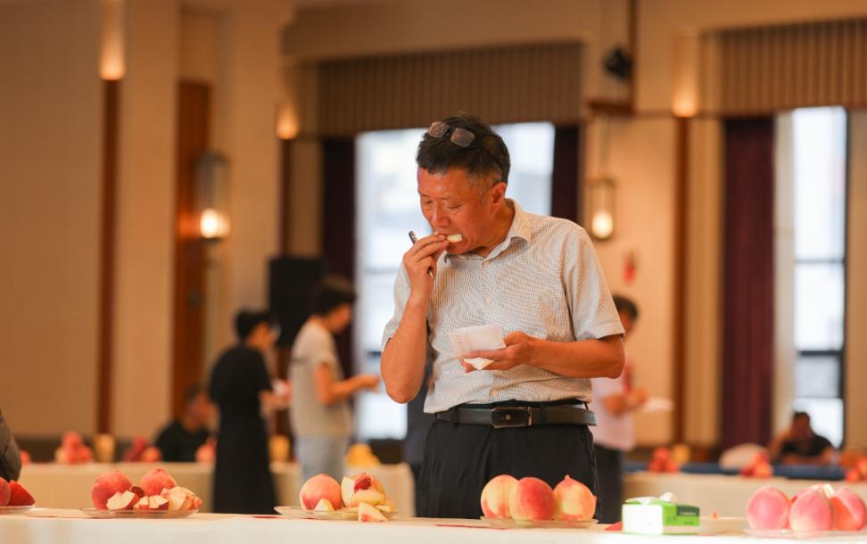 【原创】“蜜”意不同 “桃”香满溢｜天水秦安蜜桃鉴评会来啦_fororder_图片5