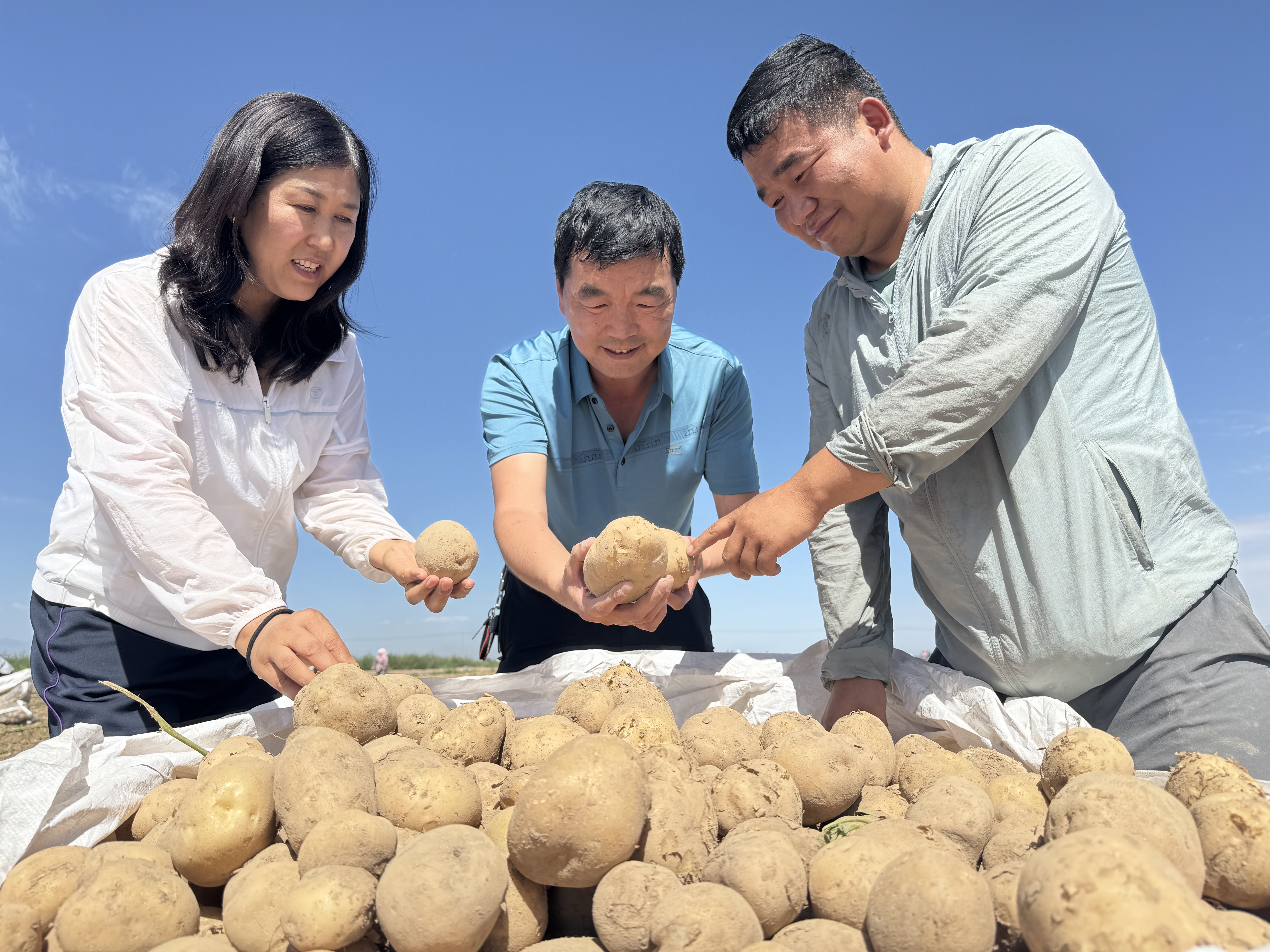 甘肃张掖山丹：争做“膜”范生！全生物可降解地膜“帮大忙”_fororder_2.JPG