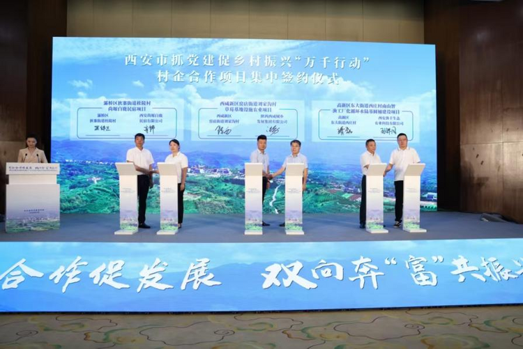 西安市抓黨建促鄉村振興“萬千行動”村企合作項目集中簽約活動在周至舉行_fororder_圖片2