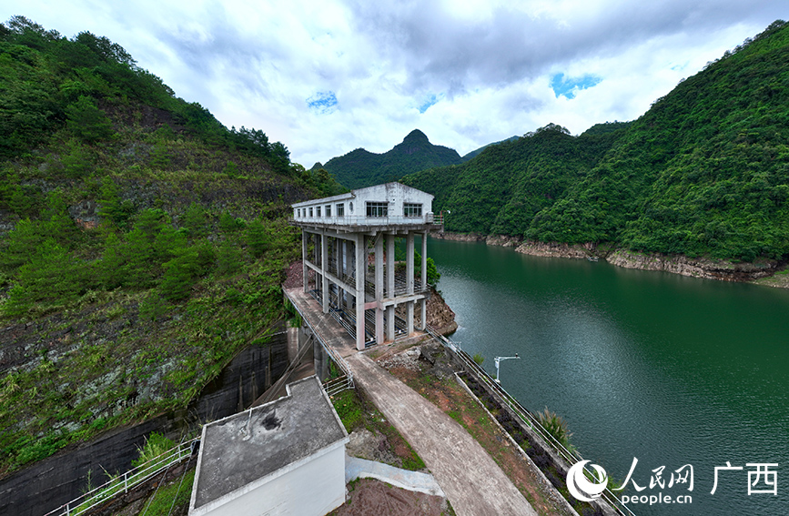 廣西金秀:點“綠”成“金”推動鄉村振興