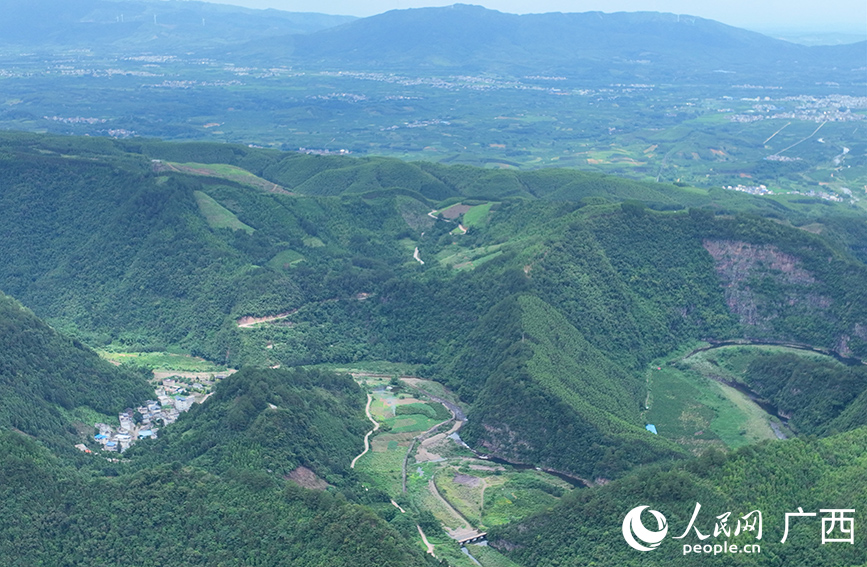 廣西金秀:點“綠”成“金”推動鄉村振興