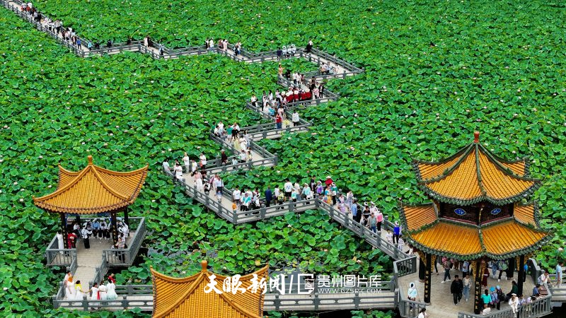 立秋后的第一场旅行，来贵州吧！