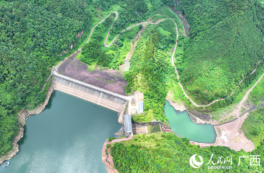 廣西金秀:點“綠”成“金”推動鄉村振興