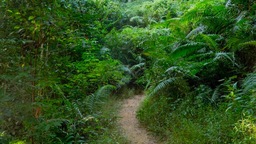 廣州黃埔促進城鄉要素流動，年輕人帶資回村