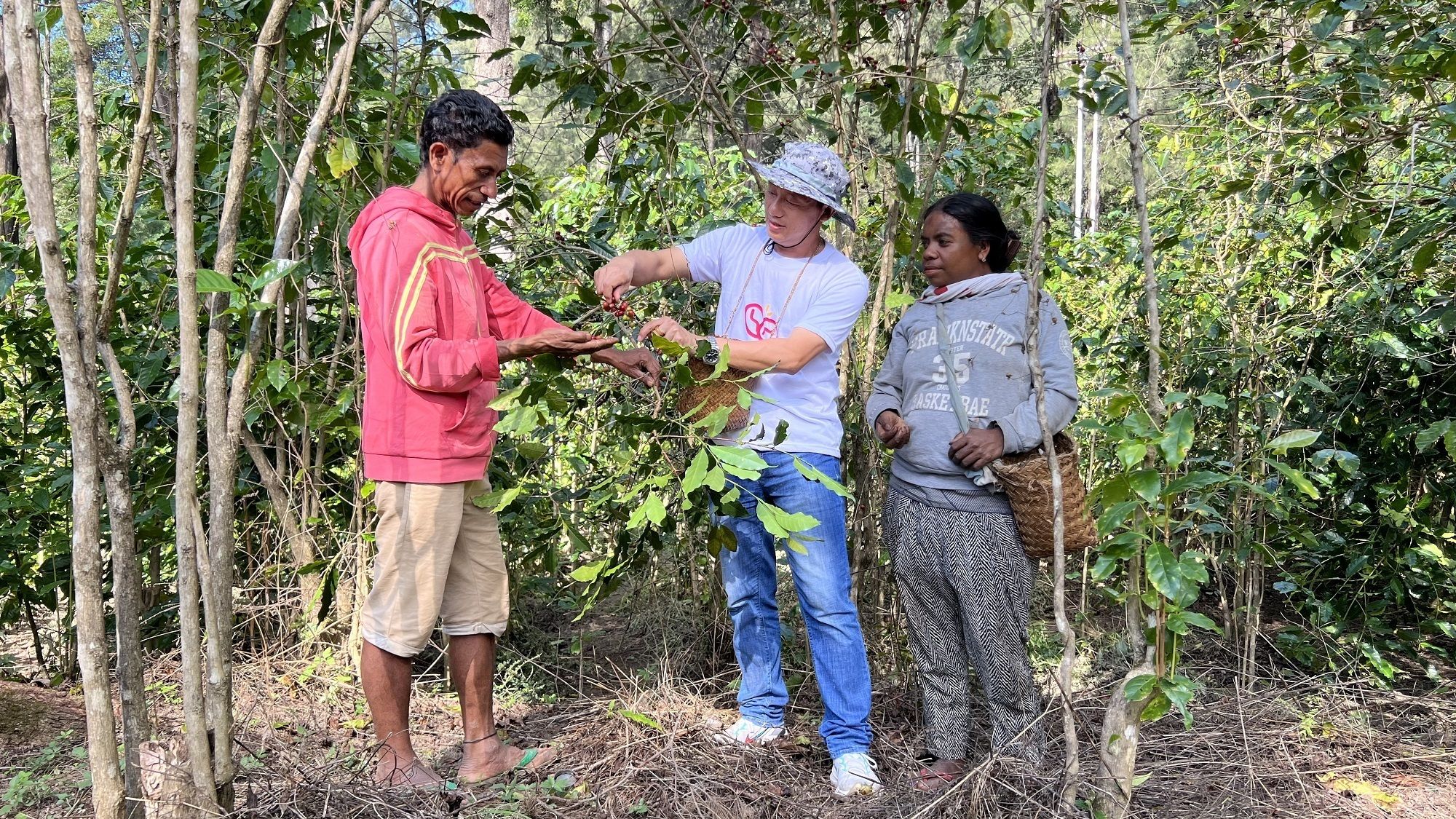 资讯有故事丨从种子到杯子 中国助力东帝汶咖啡香飘世界