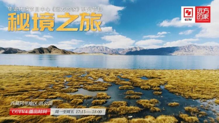 《秘境之旅》：探寻无人区的生命奇迹